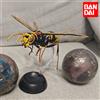 Bandai Gashapon Encyclopedia delle Creature: Subfamiglia delle Calabroni, Calabrona a Pelo, Calabrona Terrestre, Calabrona Testa di Toro - Modellini in Miniatura, Giocattoli