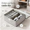NONE Organizzatore Pieghevole per Biancheria Intima 32x28x11cm Grigio in Tessuto Non Tessuto con Coperchio Antipolvere, 16 Scomparti, Divisori Rimovibili per Calzini, Mutandine, Biancheria Intima,