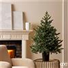 Enzo De Gasperi EDG Enzo De Gasperi Pino Argentato H120 D99 cm con Vaso