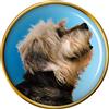 Dandie Dinmont Terrier Cane Distintivo di Lapel Pin