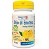 LONG LIFE LONGLIFE OLIO ENOTERA BIO60PRL