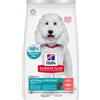 Hill's Science Plan Hypoallergenic Adult al Salmone Alimento Secco per Cani - Sacco da 2,5 Kg - Per cani di taglia media (da 11 a 25 kg)