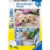 Ravensburger Spielverlag Puzzle Ravensburger "Cani e gattini" - 200 pezzi, adatto a bambini dai 8 anni in su