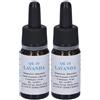 Quintessenza Qe10 Lavanda 10Ml 2x10 ml Olio essenziale