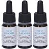 Quintessenza Qe10 Lavanda 10Ml 3x10 ml Olio essenziale