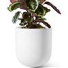 LE TAUCI Vaso per Piante in Ceramica 20 cm, Fioriera con Foro di Drenaggio e Tappo in Gomma, Design Cilindrico Moderno, per Casa, Patio ed Esterno, Bianco