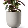 LE TAUCI Vaso per Piante in Ceramica 20 cm, Fioriera con Foro di Drenaggio e Tappo in Gomma, Design Cilindrico Moderno, per Casa, Patio ed Esterno, Grigio Neutro