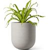 LE TAUCI Vaso per Piante in Ceramica 15 cm, Fioriera con Foro di Drenaggio e Tappo in Gomma, Design Cilindrico Moderno, per Casa, Patio ed Esterno, Grigio Neutro