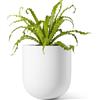 LE TAUCI Vaso per Piante in Ceramica 15 cm, Fioriera con Foro di Drenaggio e Tappo in Gomma, Design Cilindrico Moderno, per Casa, Patio ed Esterno, Bianco