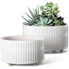 LE TAUCI Vasi per Piante Grasse, 16.5+20 cm Vasi per Piante da interno in Ceramica con Foro di Drenaggio, Fioriere da Balcone Bassi Rotondi per Piante Grasse, Set di 2, Bianco