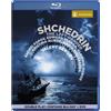 Note 1 Music Gmbh / Heidelberg Shchedrin: The Left-Hander (Mariinsky Theatre / Gergiev) (DVD)