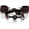 CALEXOTICS - SCANDAL BALL GAG TRASPIRANTE CON MANETTE