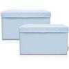 LIFENEY Set di 2 contenitori per bambini (37 x 25 x 21 cm), cestino portaoggetti per cameretta dei bambini e salotto (azzurro)