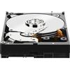 WD Nero (6 TB, 3.5"), Disco rigido