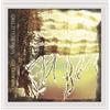 Sting Unraveled (CD)