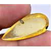 Gemsmyriad 100% Naturale Tanzania Giallo Ambra 7.60 CT Non Trattati Certificato S Insetto