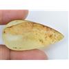 Gemsmyriad Non Trattato Naturale Tanzania Giallo Ambra 14.40 KT Certificato Cabochon Taglio
