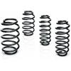 EIBACH Kit molle sospensione con perizia E2204-120 EIBACH per CITROËN SAXO