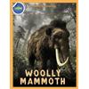 Beth Costanzo Woolly Mammoth Activity Workbook ages 4-8 (Tascabile)