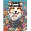 Colorzen Collie Canvases (Tascabile)