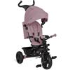 Lionelo Haari 2 in 1 Triciclo bici e passeggino fino a 25kg, Pieghevole | Fronte mamma e fronte strada,Regorabile compatto con Borsa e portabibite, Cinture a 3punti Triciclo per bambini da 1 a 5 anni