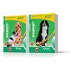 *MSD Animal Health Exspot 6 Pip 2 Ml Minsan 103182059
