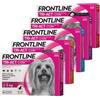 *Boehringer Ingelheim Frontline Tri-Act L 20-40Kg 3Pip 4Ml Minsan 104672112