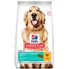 *Hill's Canine Perfect Weight Large Breed 12Kg Minsan 926456207