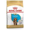 *Royal Canin Rc Cocker Junior 3Kg Minsan 977962531