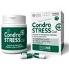 *Innovet Condrostress (+) Cat 30Cpr Nuova Formula Minsan 980769970