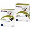 *Camon Hybrid 60Cpr G880 Contro Alitosi Ed Epifora Minsan 923330548