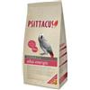 *Psittacus Psittacus Mantenimento Formula Alta Energia 12Kg Per Pappagalli (Cenerini, Are,Senegal) Estruso