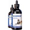 *Vet Bros Kaminox Sciroppo