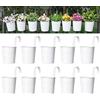 Dahey 10 vasi da fiori da appendere, in metallo, per ringhiere, recinzioni, balconi, giardini, decorazioni per la casa, con ganci staccabili, bianco, 12,7 cm
