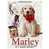 3 DVD MARLEY E I SUOI AMICI IL DOTTOR DOLITTLE IL MIO AMICO A QUATTRO ZAMPE☆