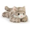 champracer Peluche a forma di gatto, 30 cm, realistico, 18 cm, a pelo corto, carino giocattolo per bambini (Tanuki)