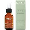 Noah Siero Filler Antirottura con Acido Ialuronico da Bio-Tecnologia, Trattamento Specifico per Punte Danneggiate, 20 ml