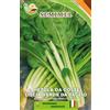 SEMIMEL Bietola da Coste Liscio Verde da Taglio, 500 gr - Semi di Bietola Verde Liscia e Croccante, Ricca di Vitamine e Minerali Semina Tutto l'Anno 2 confezioni