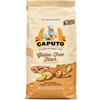 Antimo Caputo Caputo Fioreglut Preparato per Prodotti da Forno senza Glutine con Amido di Frumento Deglutinato, Destrosio, Amido di Mais, Farina di grano Saraceno, Amido di Riso, Fibra di semi di psyllium. 1 Kg