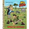Chris Kratt Martin Kratt Wild in Africa! (Wild Kratts) (Copertina rigida)