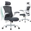 COLAMY Sedia da ufficio ergonomica, in rete con poggiatesta regolabile, sedia direzionale da ufficio con supporto lombare, chiusura inclinabile regolabile, colore: grigio