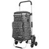 Rubberneck Carrello Pieghevole per la Spesa con Vano di Raffreddamento e Maniglia regolabile in Altezza, Nero