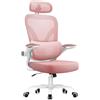rattantree Sedia da Ufficio Ergonomica, Poltrona Ufficio con Supporto Lombare 2D, Rosa | Sedia Scrivania con Poggiatesta Regolabile 3D, Braccioli Ribaltabili a 90°per Casa Ufficio