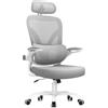 rattantree Sedia Ufficio Ergonomica, Poltrona Ufficio con Supporto Lombare 2D, Grigio | Sedia Scrivania con Poggiatesta Regolabile 3D, Braccioli Ribaltabili a 90°per Casa Ufficio