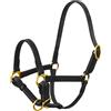 Sartore Cavezza puledro fibbie ottone