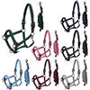 Sartore Set cavezza imbottita+lunghina - Cob azzurro