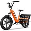 Aeexyz HOVSCO HovCart - Bicicletta elettrica con sensore di coppia, 20 | Telaio in alluminio, batteria sostitutiva da 48 V/15 Ah, 250 W, cambio Shimano a 7 velocità e freni a disco idraulici