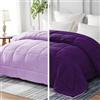 Whale Flotilla Piumino Reversibile 200 x 220 cm, per Letto Matrimoniale | Piumone 300 GSM in Microfibra, Morbido e Traspirante, Trapunta Adatta per Tutte Le Stagioni, Viola