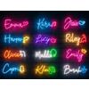 zouwii Insegna al neon moderna minimalista personalizzata - linea sottile personalizzata LED nome luce con icone animali musica - decorazione da parete in acrilico per dormitorio studio casa ufficio