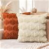 Artoid Mode Set 2 Federe Cuscini Autunnali Caramello Beige Zucche 40x40cm | Stagionali Fall Morbide Pelliccia Sintetica Peluche Velluto Cuscini Divano Decorazione